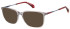 Superdry SDO-3017 sunglasses in Grey