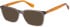 Superdry SDO-3018 sunglasses in Grey