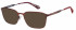 Superdry SDO-3019 sunglasses in Matt Burgundy