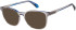 Superdry SDO-3021 sunglasses in Grey Blue