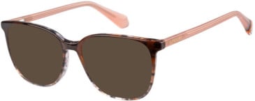 Superdry SDO-3023 sunglasses in Tortoise