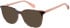 Superdry SDO-3023 sunglasses in Tortoise