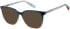 Superdry SDO-3023 sunglasses in Teal Pink