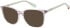 Superdry SDO-3023 sunglasses in Grey