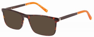 Botaniq BIO-1081 sunglasses in Gloss Tortoise