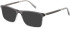 Botaniq BIO-1081 sunglasses in Grey