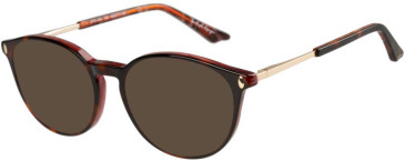 Episode EPO-409 sunglasses in Tortoise Purple