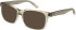 O'Neill ONB-4008 sunglasses in Gloss Tobacco