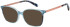 Radley RDO-6042 sunglasses in Blue/Rose Gold