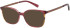 Radley RDO-6042 sunglasses in Burgundy/Copper