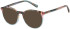 Radley RDO-6043 sunglasses in Multi/Pink
