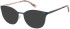Radley RDO-6044 sunglasses in Blue/Pink