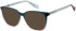 Superdry SDO-3023 sunglasses in Teal Pink
