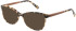 Botaniq BIO-1078 sunglasses in Gloss Tortoise