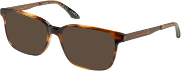 O'Neill ONO-4535 sunglasses in Gloss Brown Horn
