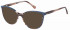 Radley RDO-6036 sunglasses in Brown/Blue
