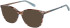Radley RDO-6039 sunglasses in Brown/Blue