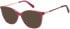 Radley RDO-6039 sunglasses in Purple