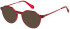 Superdry SDO-2003 glasses in Red