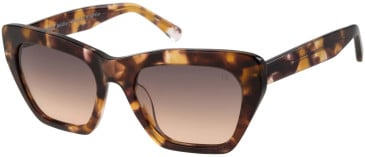 Botaniq BIS-7031 sunglasses in Gloss Tortoise