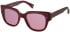 Botaniq BIS-7034 sunglasses in Gloss Red