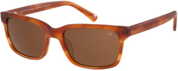 Botaniq BIS-7045 sunglasses in Matt Tortoise