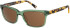Botaniq BIS-7045 sunglasses in Gloss Green