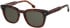Botaniq BIS-7046 sunglasses in Gloss Tortoise