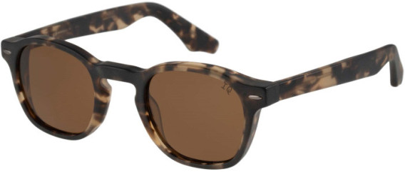 Botaniq BIS-7049 sunglasses in Gloss Tortoise
