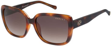 Radley RDS-6517 sunglasses in Tortoise