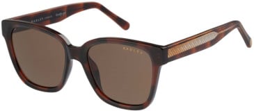 Radley RDS-6521 sunglasses in Tortoise