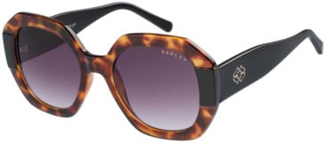 Radley RDS-6522 sunglasses in Tortoise Black