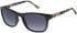 Radley RDS-6526 sunglasses in Black Tortoise