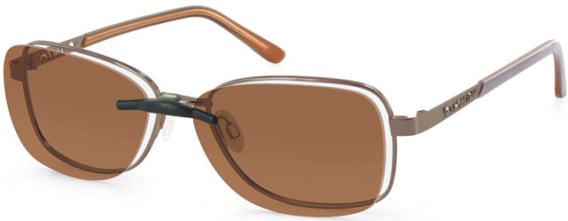 Puccini PCO-304 glasses in Bronze