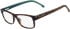 Lacoste L2707 glasses in Havana