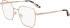 Calvin Klein CK24105 glasses in Rose Gold