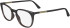 Calvin Klein CK24513-52 glasses in Brown