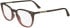 Calvin Klein CK24513-52 glasses in Brown/Rose