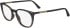 Calvin Klein CK24513-54 glasses in Brown