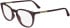 Calvin Klein CK24513-54 glasses in Burgundy Gradient