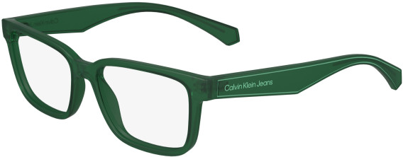 Calvin Klein Jeans CKJ24305 glasses in Green