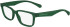 Calvin Klein Jeans CKJ24305 glasses in Green