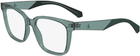 Calvin Klein Jeans CKJ24306 glasses in Sage