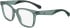 Calvin Klein Jeans CKJ24306 glasses in Sage