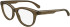 Calvin Klein Jeans CKJ24611 glasses in Brown