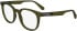 Calvin Klein Jeans CKJ24613 glasses in Khaki