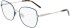 DKNY DK1034 glasses in Teal/Silver