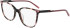 DKNY DK5066 glasses in Rose Tortoise