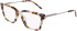 DKNY DK7012 glasses in Bone/Ink Tortoise