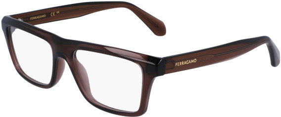 FERRAGAMO SF2988 glasses in Transparent Brown